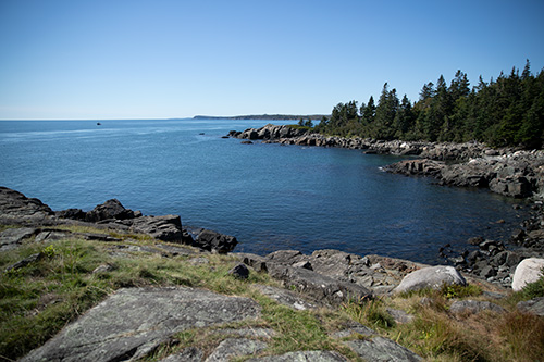 Coast of Maine picture